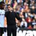 What Fulham boss Marco Silva said about Alex Iwobi’s new track ‘what’s luv?’